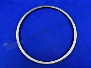 ZF SLIDE RING SEAL 0501 325 341