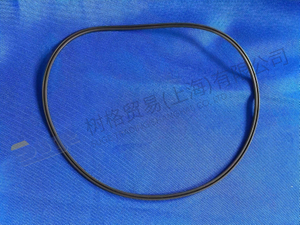 ZF U-RING 0734 317 181