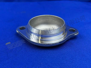 ZF COVER 1358 302 218