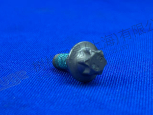 ZF HEXALOBULAR DRIVING SCREW 0636 102 673