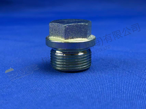 ZF SCREW PLUG 0636 304 088