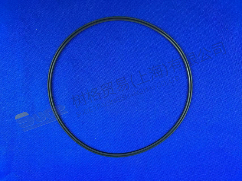 ZF GROOVED RING 0734 317 180