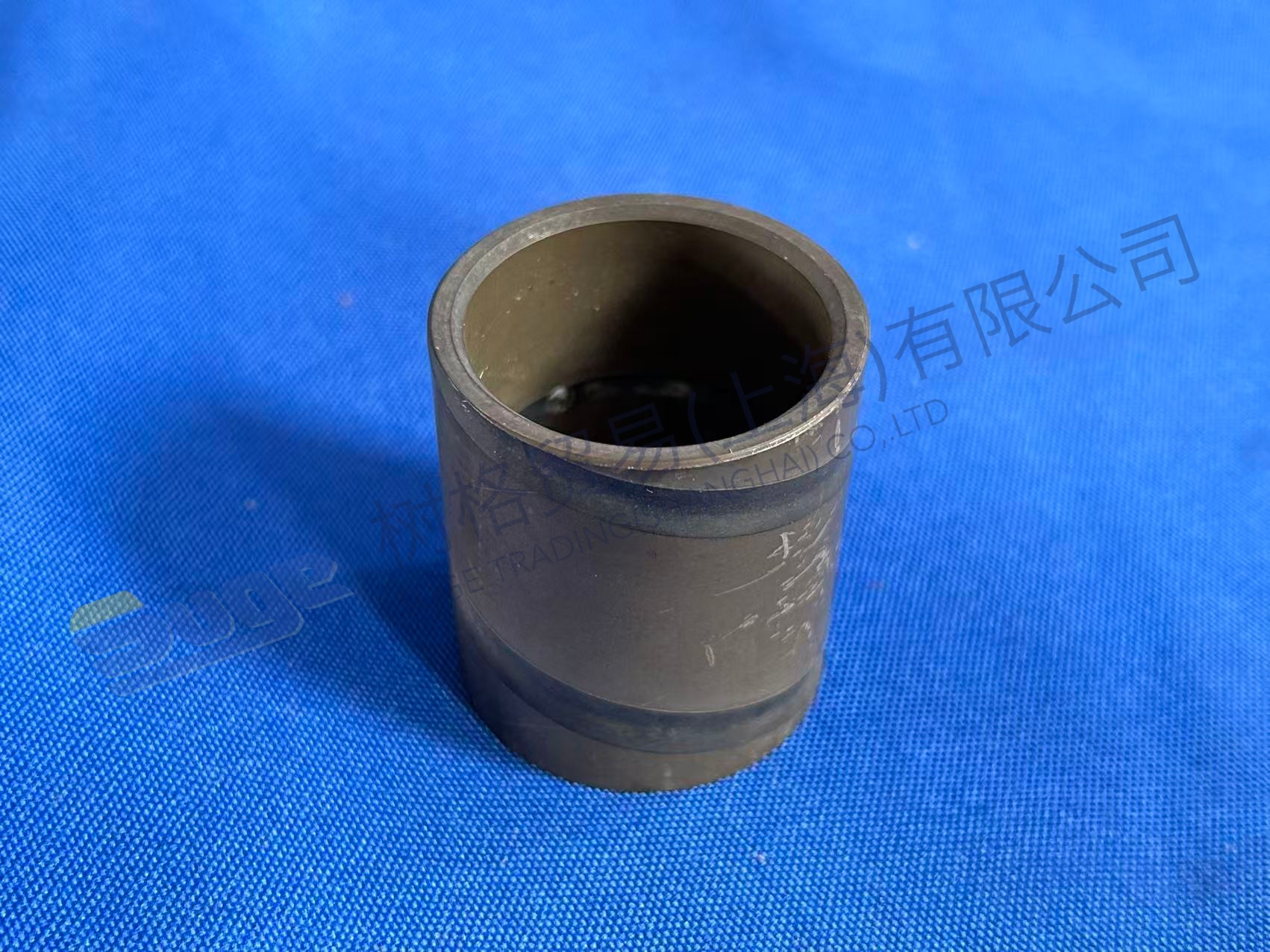 ZF BUSH 5838 300 085