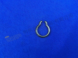 ZF RETAINING RING 0730 307 324