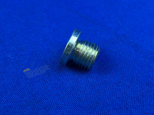 ZF SCREW PLUG 0636 100 689