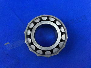 ZF CYLINDER ROLLER BEARING 0735 455 298