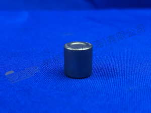 ZF NEEDLE BUSH 0635 303 019