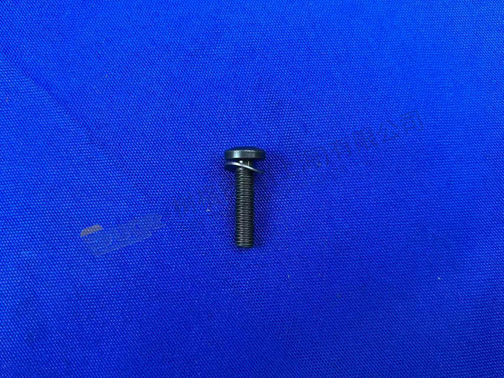 ZF TORX SCREW 0736 101 051