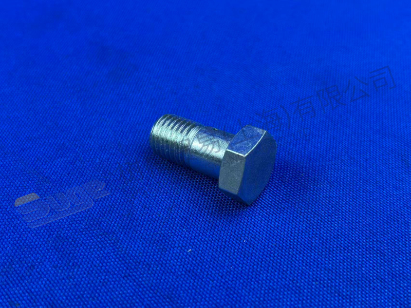 ZF UNION SCREW 0737 300 099