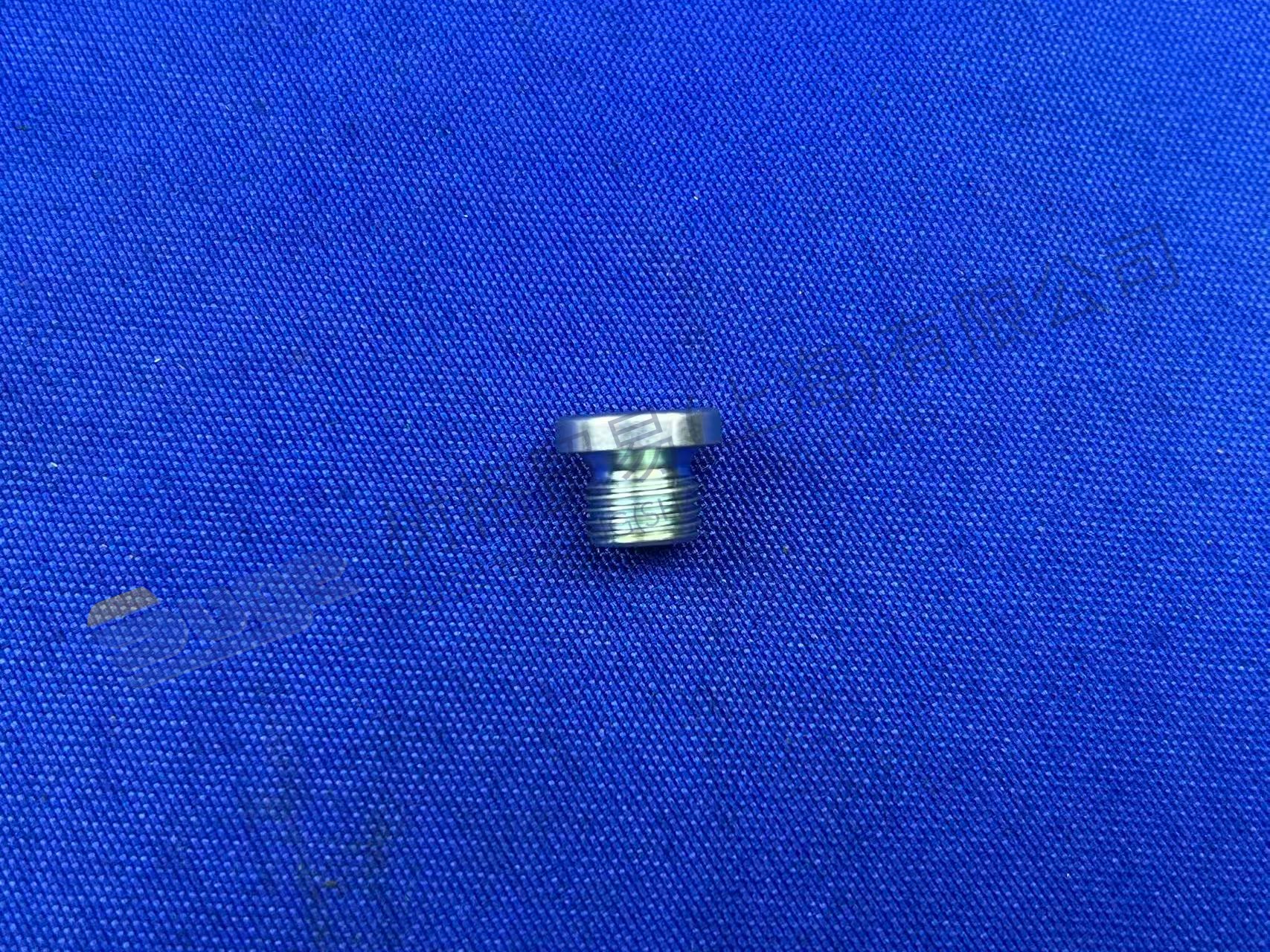 ZF SCREW PLUG 0636 100 793