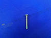 ZF TORX SCREW 0736 300 659