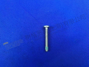 ZF TORX SCREW 0736 300 659