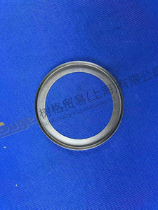 ZF 4BP230 GUIDE RING 4656 371 022