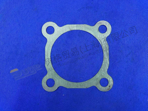 ZF GASKET 6090 301 009