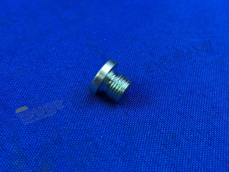 ZF SCREW PLUG 0636 100 793