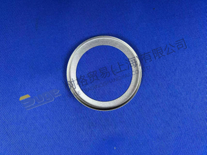 ZF 4BP230 GUIDE RING 4642 308 083