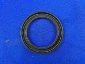 ZF SHAFT SEAL 0734 310 349