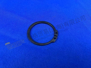 ZF RETAINING RING 0630 531 057