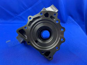 ZF CONNECTION PLATE 1315 202 060