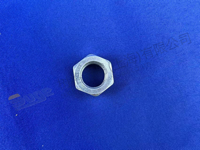 ZF LOCKING NUT 0737 300 037