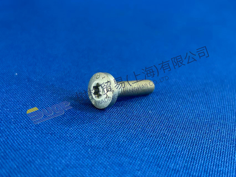 ZF TORX SCREW 0736 300 231