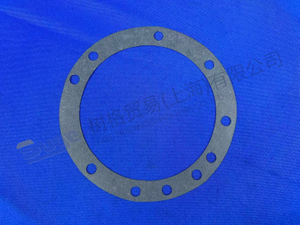 ZF GASKET 4644 301 262